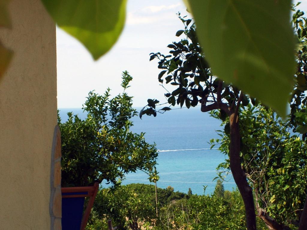 Goddess Yard Villa Tropea Exterior foto